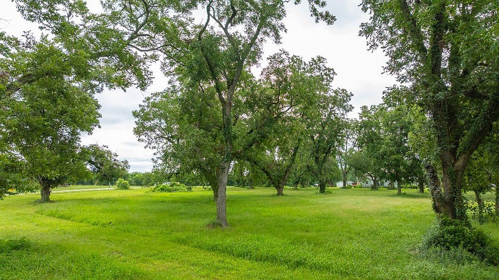 0 State Highway 3 Meigs, GA 31765  | Land/Lot