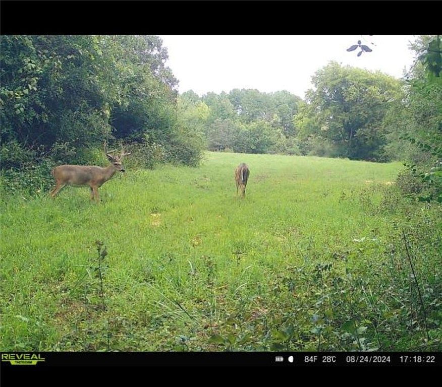 352 Baughman Loop Hattieville, AR 72063 | Land/Lot