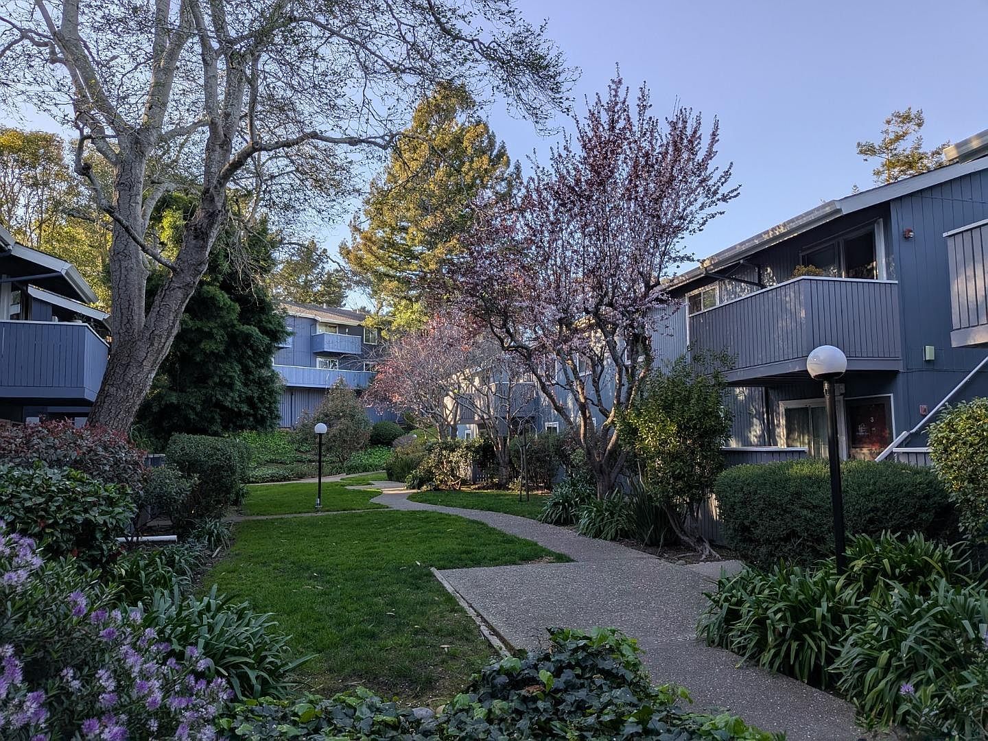 413 Piccadilly Pl APT 13 San Bruno, CA 94066  | Condominium