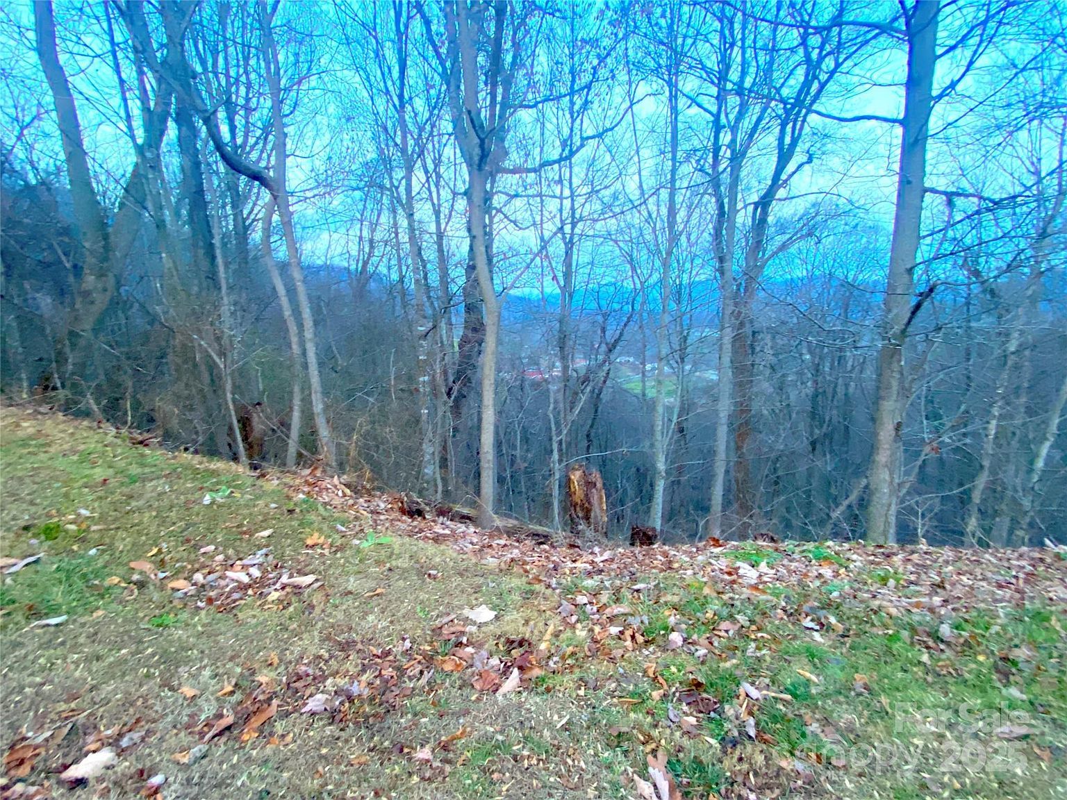 0 Asa Trl Waynesville, NC 28785 | Land/Lot