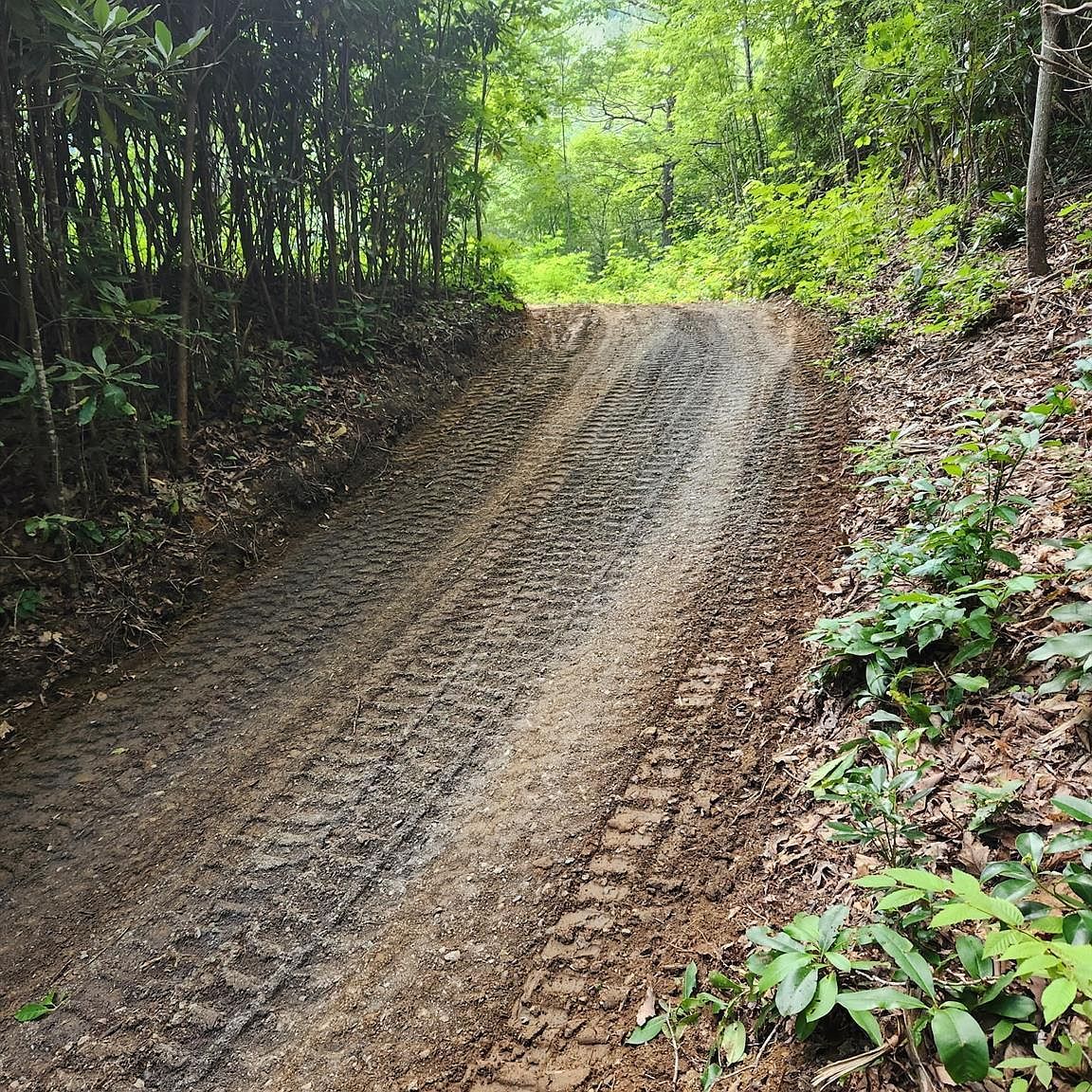 43 Blackbird Lane & Park #44 Maggie Valley, NC 28751 | Land/Lot