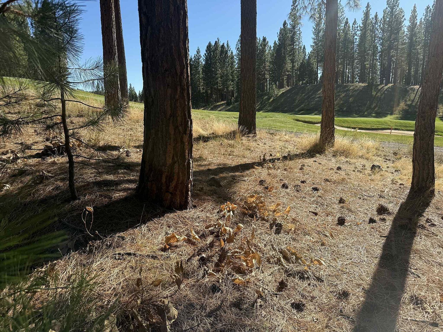 211 Bird Of Prey Ln Portola, CA 96122 | Land/Lot