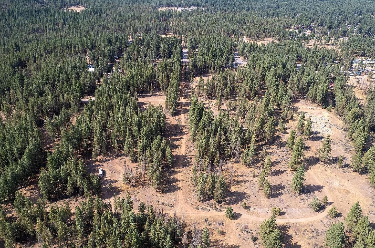 212 Otter Way Portola, CA 96122  | Land/Lot