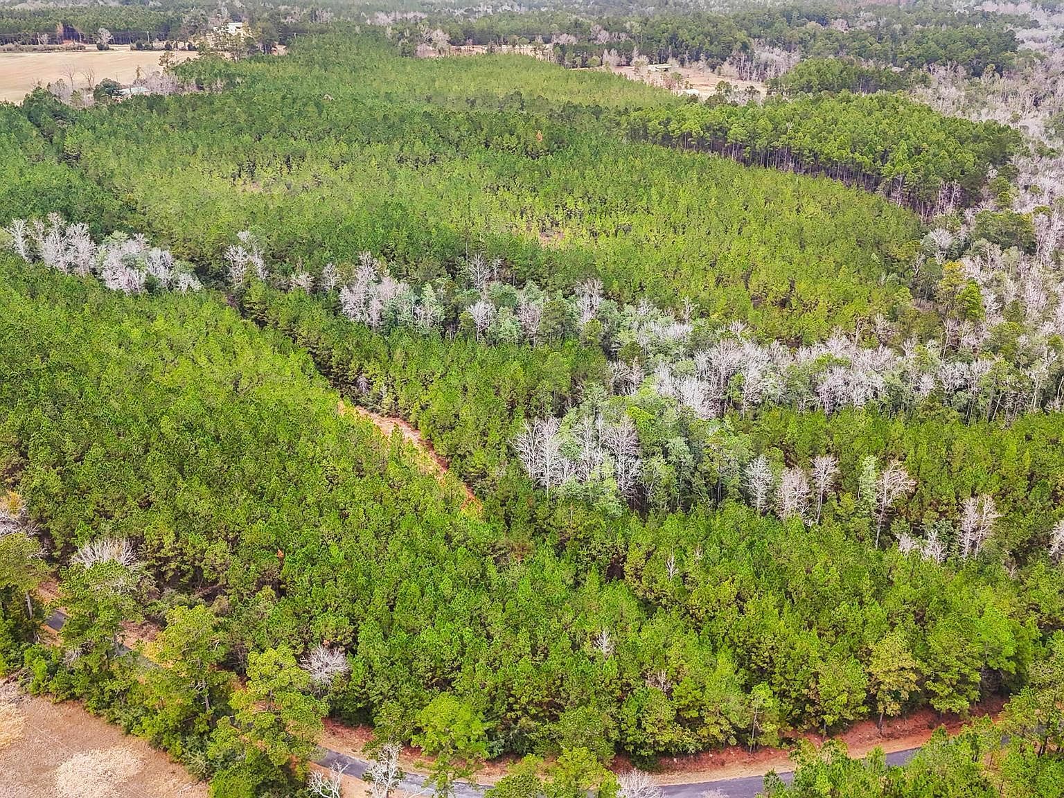 Old Hwy #63N Lucedale, MS 39452  | Land/Lot