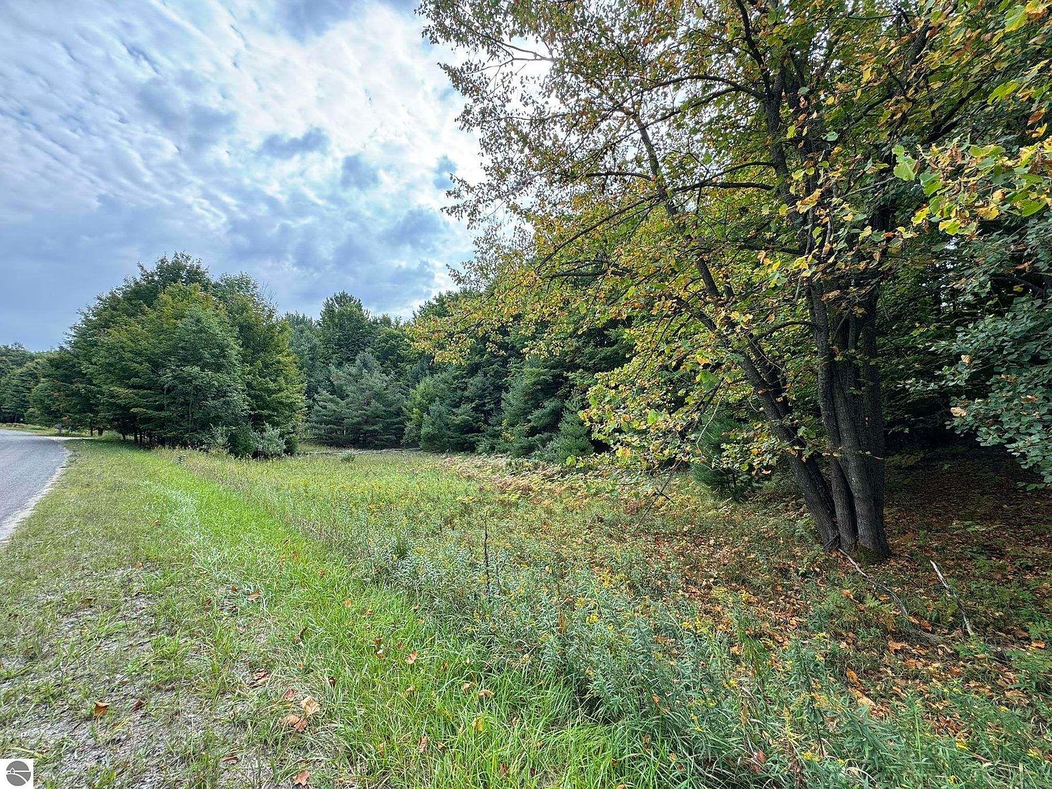 LOT 5 E Old Mountain Rd Cedar, MI 49621 | Land/Lot
