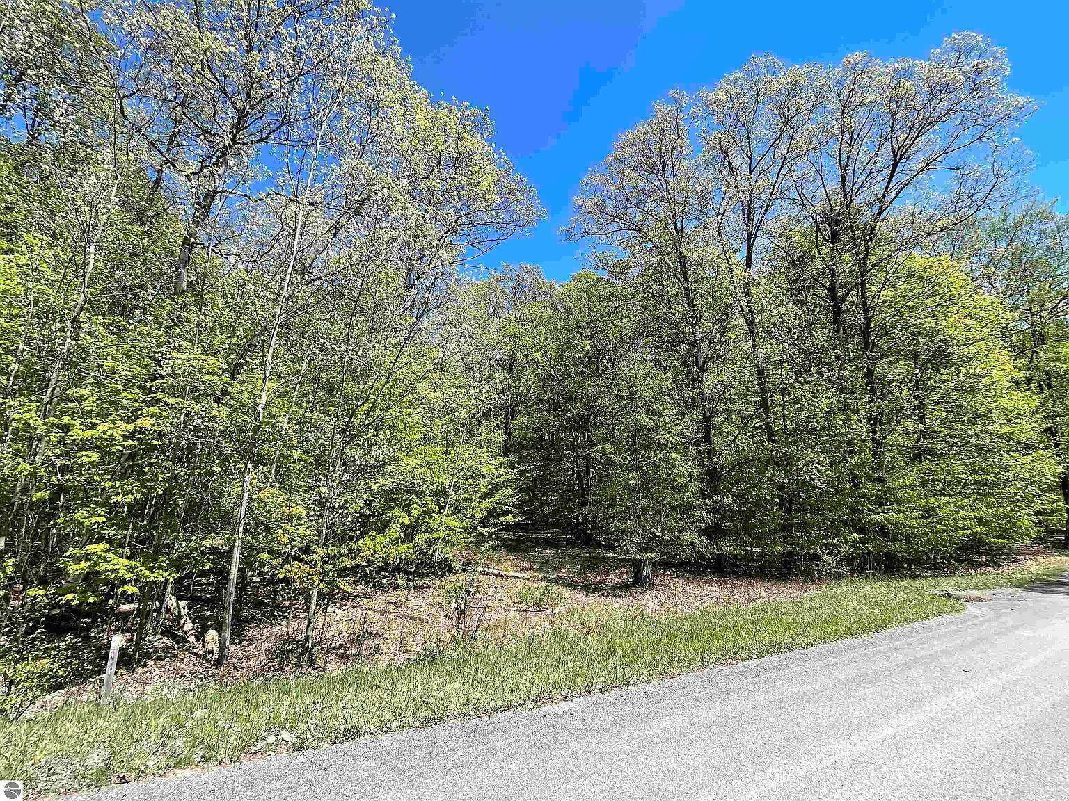 LOT 18 S Club Dr Cedar, MI 49621  | Land/Lot