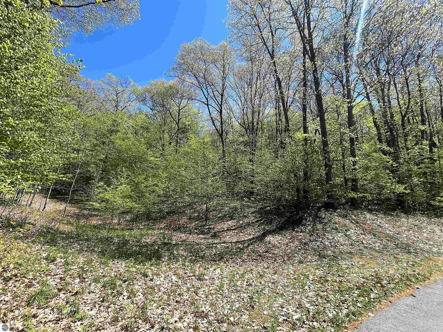 LOT 16 S Club Dr Cedar, MI 49621  | Land/Lot