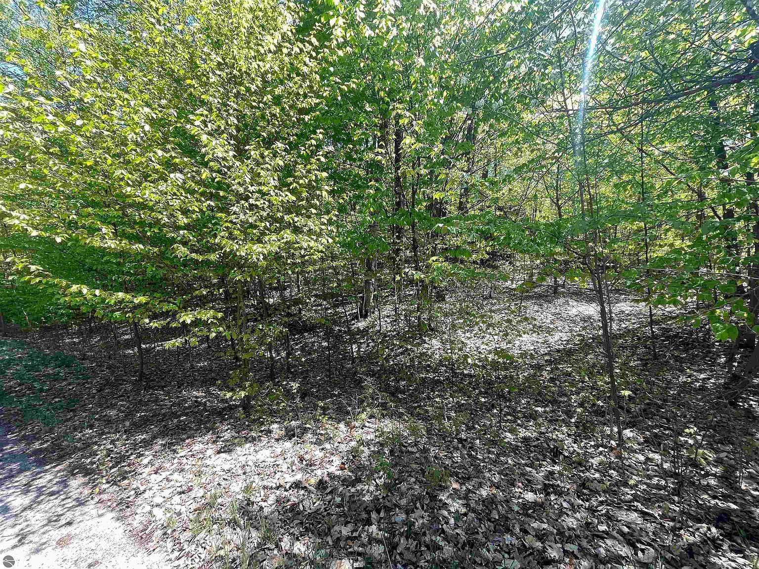LOT 13 S Club Dr Cedar, MI 49621  | Land/Lot