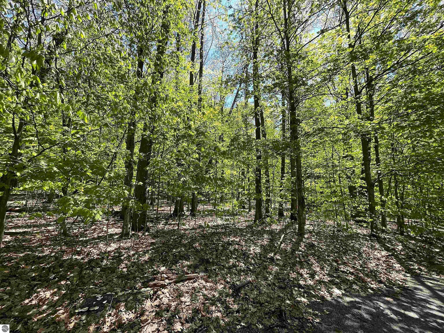 LOT 15 S Club Dr Cedar, MI 49621  | Land/Lot