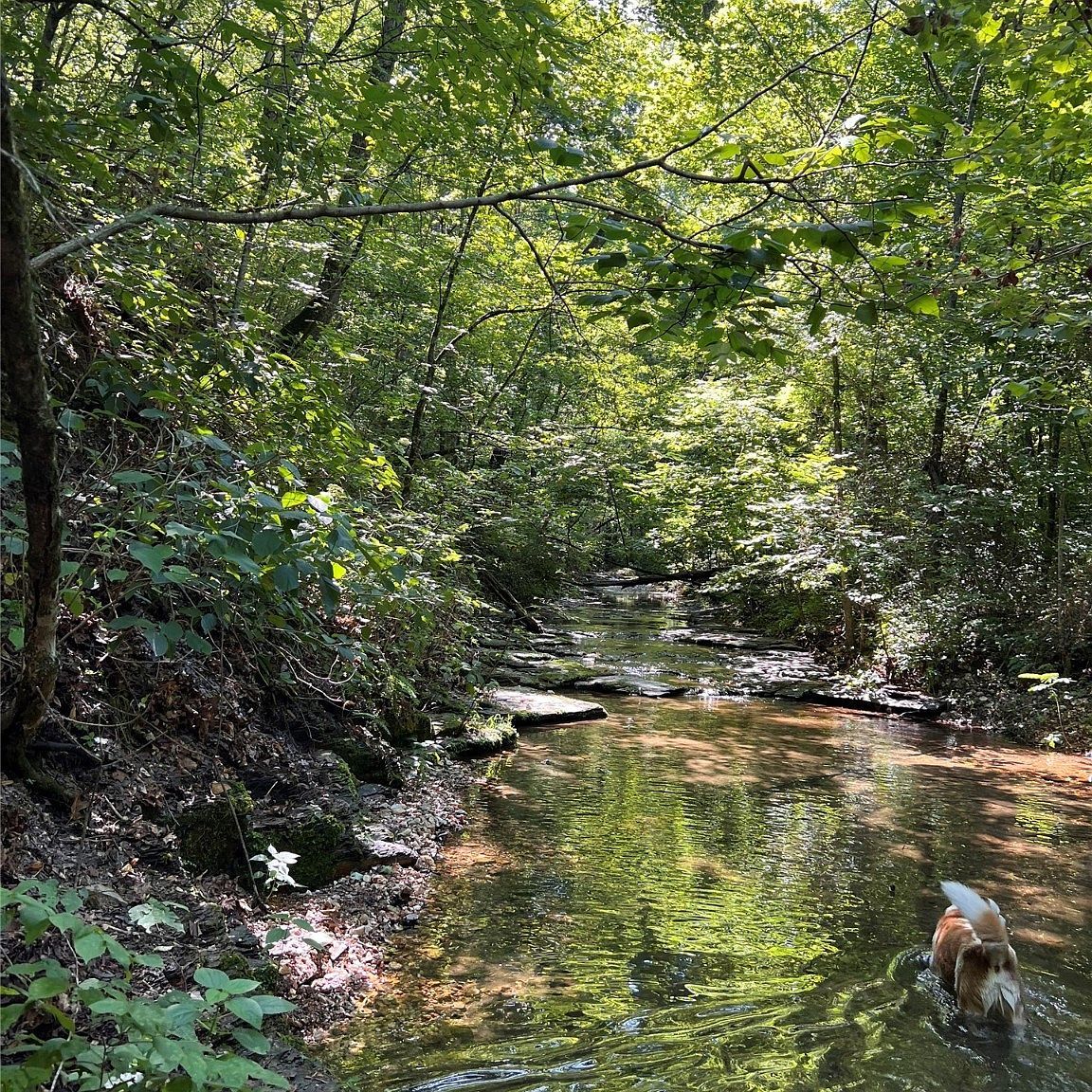 8119 N 544th Rd Tahlequah, OK 74464  | Single Family