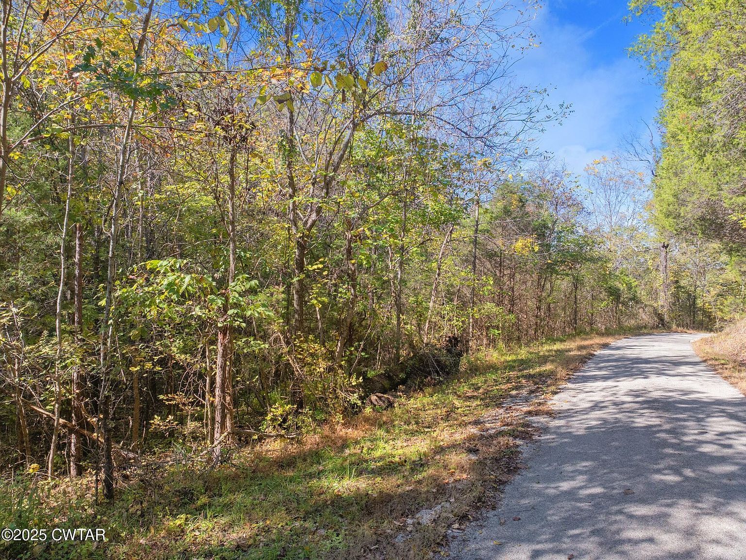 0 Dr Fisher Ln Decaturville, TN 38329  | Land/Lot