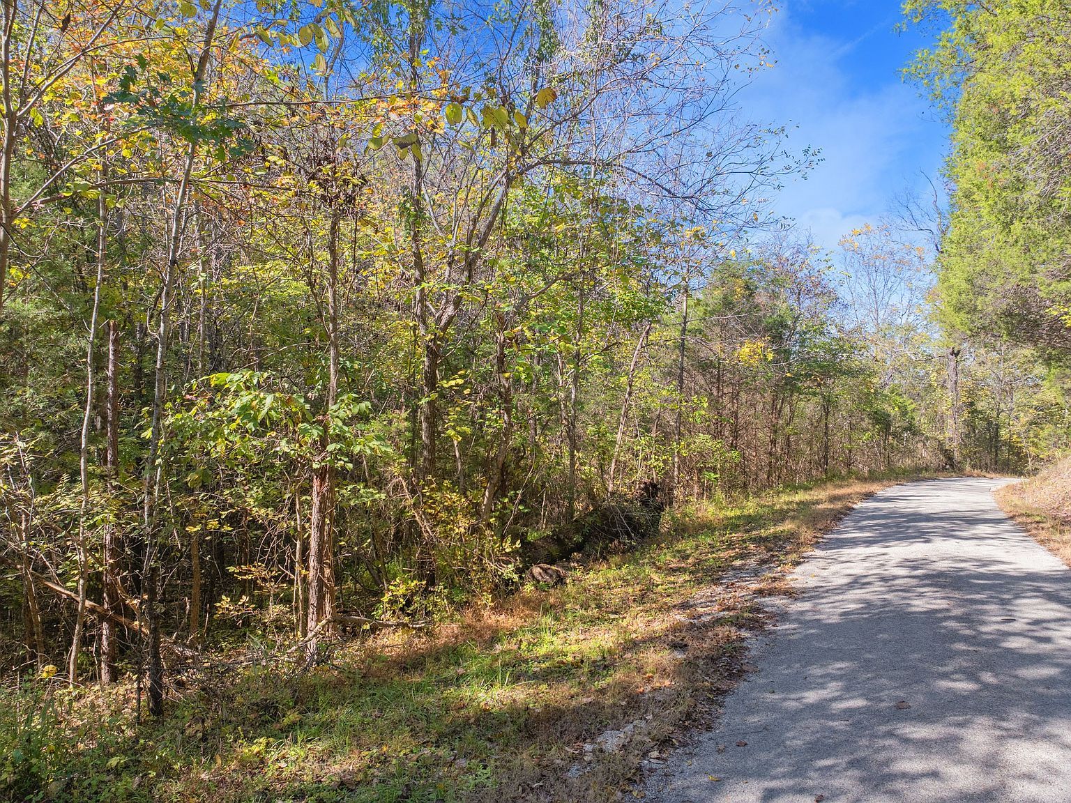 0 Doctor Fisher Ln Decaturville, TN 38329  | Land/Lot