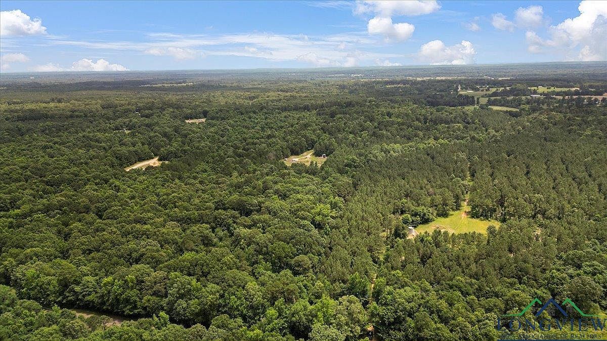 10 Fm Gary, TX 75643  | Land/Lot