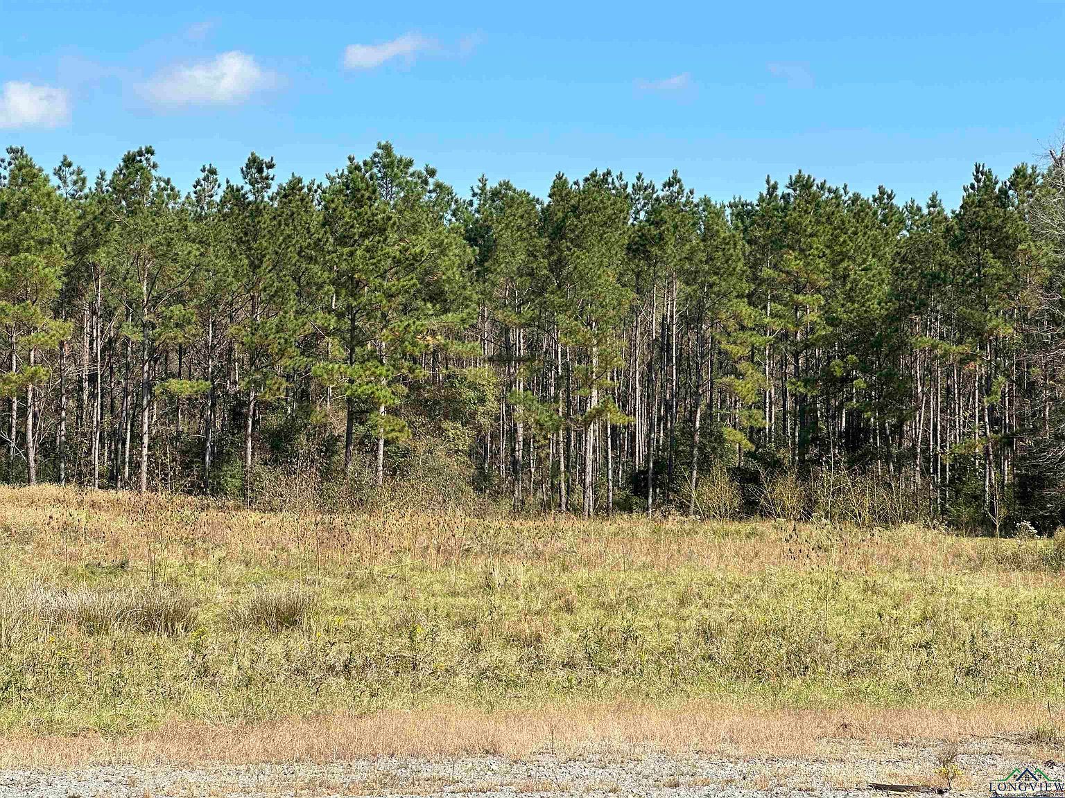 Fm 124 Beckville, TX 75631  | Land/Lot
