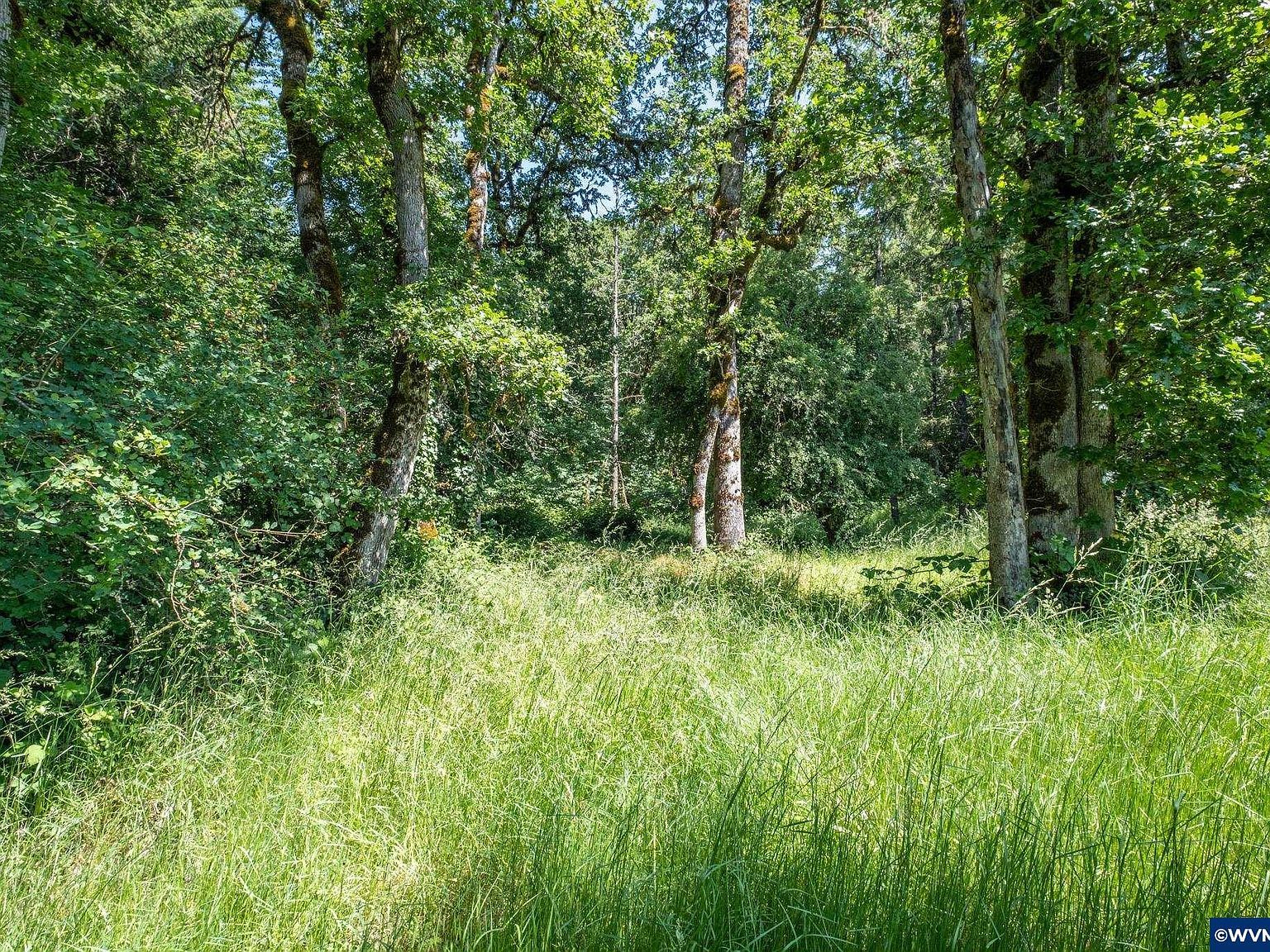 4901 Highway 20 Sweet Home, OR 97386 | Land/Lot