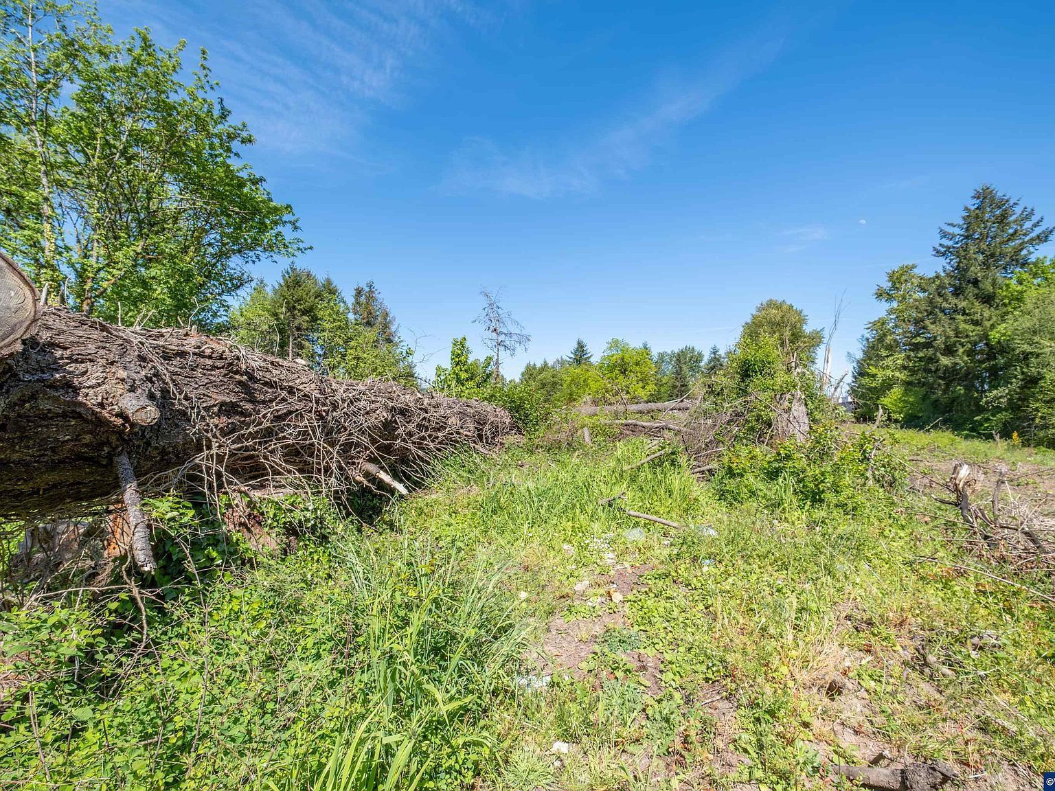 PARCEL Three 1400 Nandina St Sweet Home, OR 97386  | Land/Lot