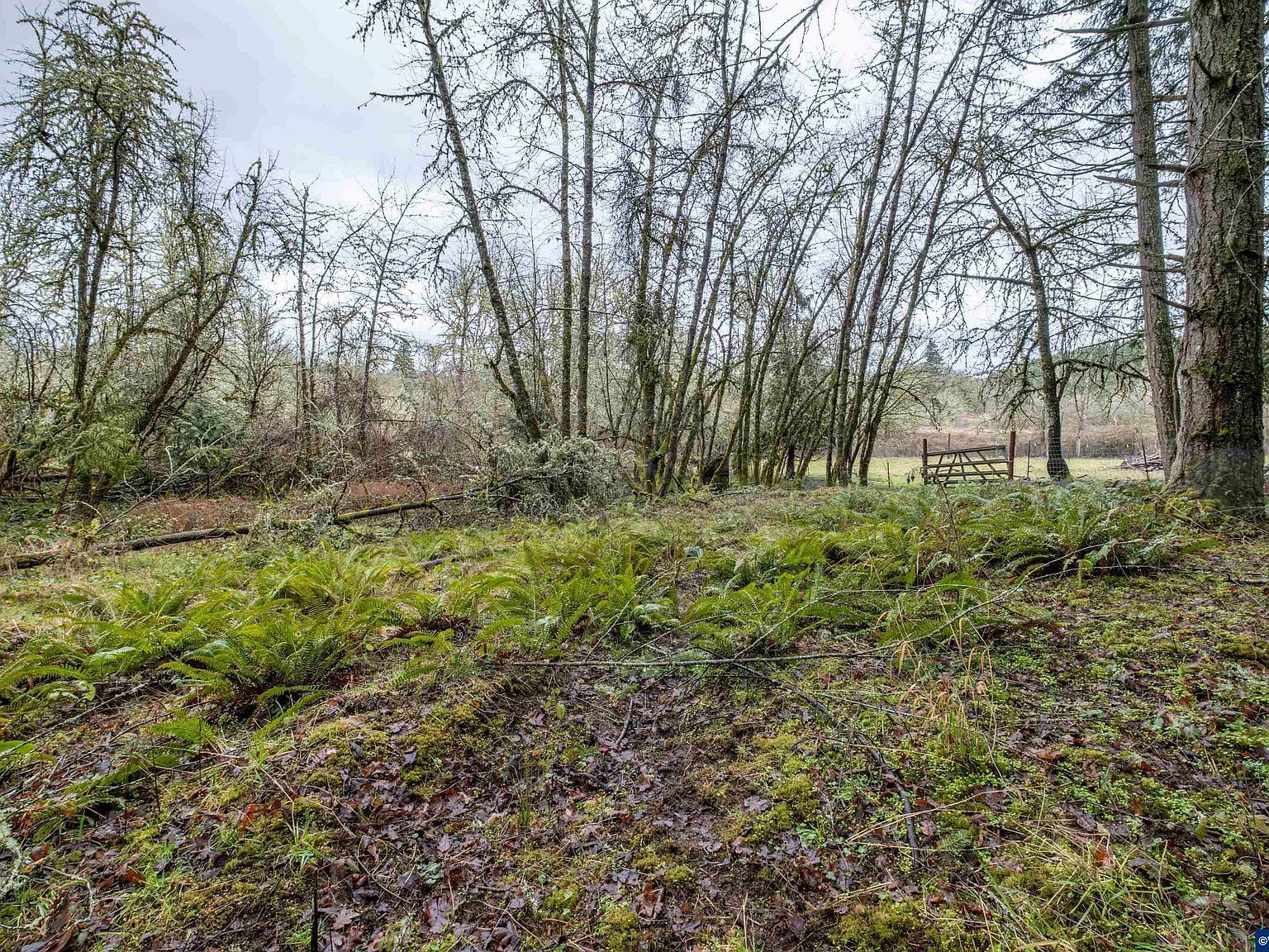 Pineway Rd LOT 2200 Lebanon, OR 97355  | Land/Lot