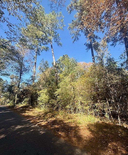 14494/53546 County Road 87 Jasper, TX 75951  | Land/Lot