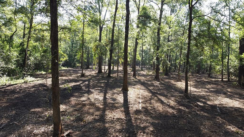 359 Mallard St Hemphill, TX 75948  | Land/Lot