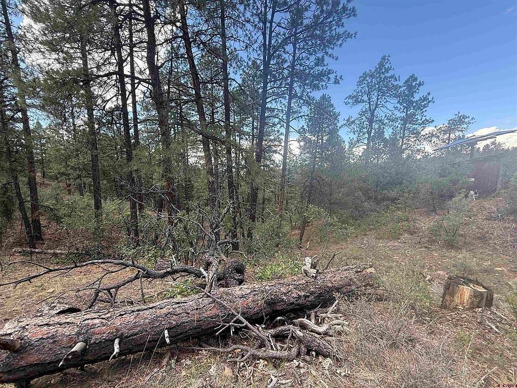 93 & 127 Careys Ct Pagosa Springs, CO 81147 | Land/Lot