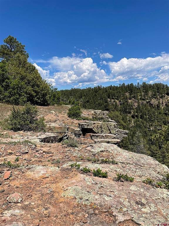 Xx West Hwy #160 Pagosa Springs, CO 81147  | Land/Lot