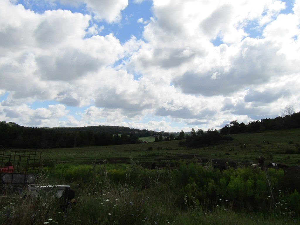 146 Tickner Ln Mansfield, PA 16933 | Single Family