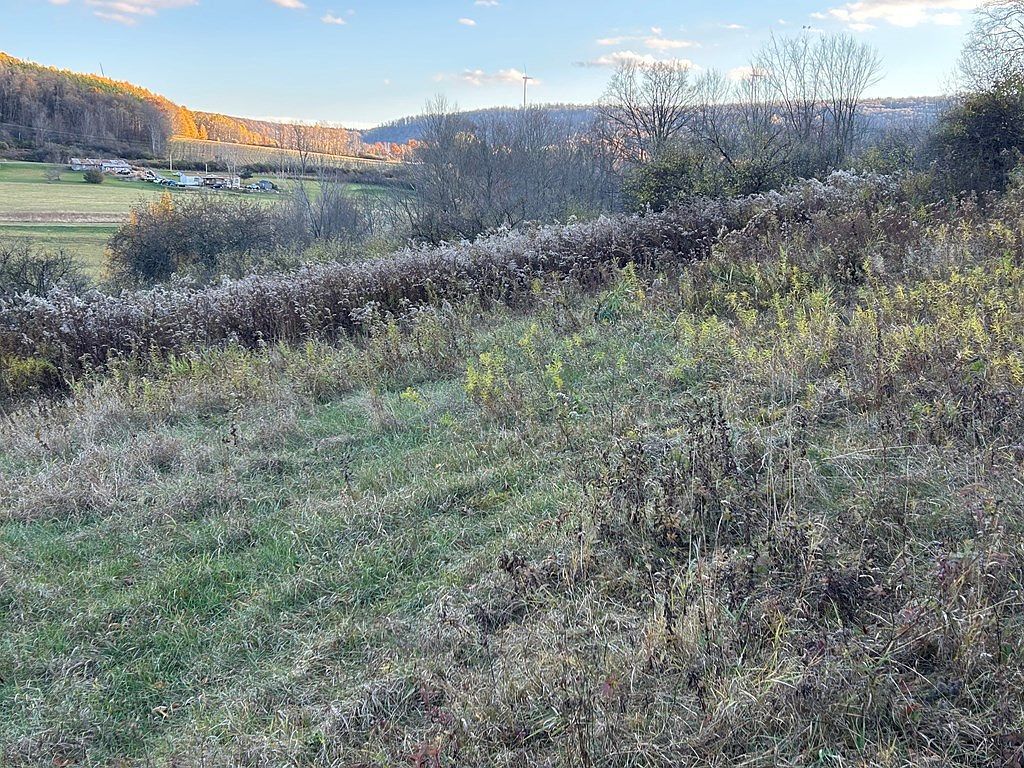 0 Dewey Hollow Rd Mainesburg, PA 16932 | Land/Lot
