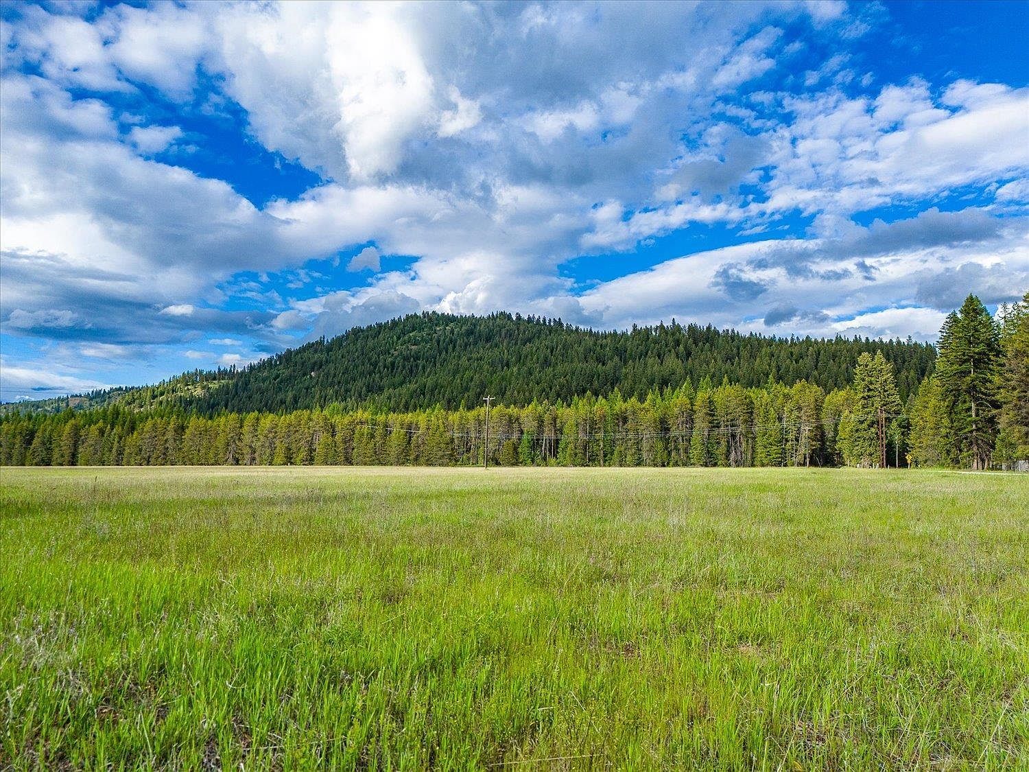 2022 Aladdin Rd Colville, WA 99114  | Land/Lot