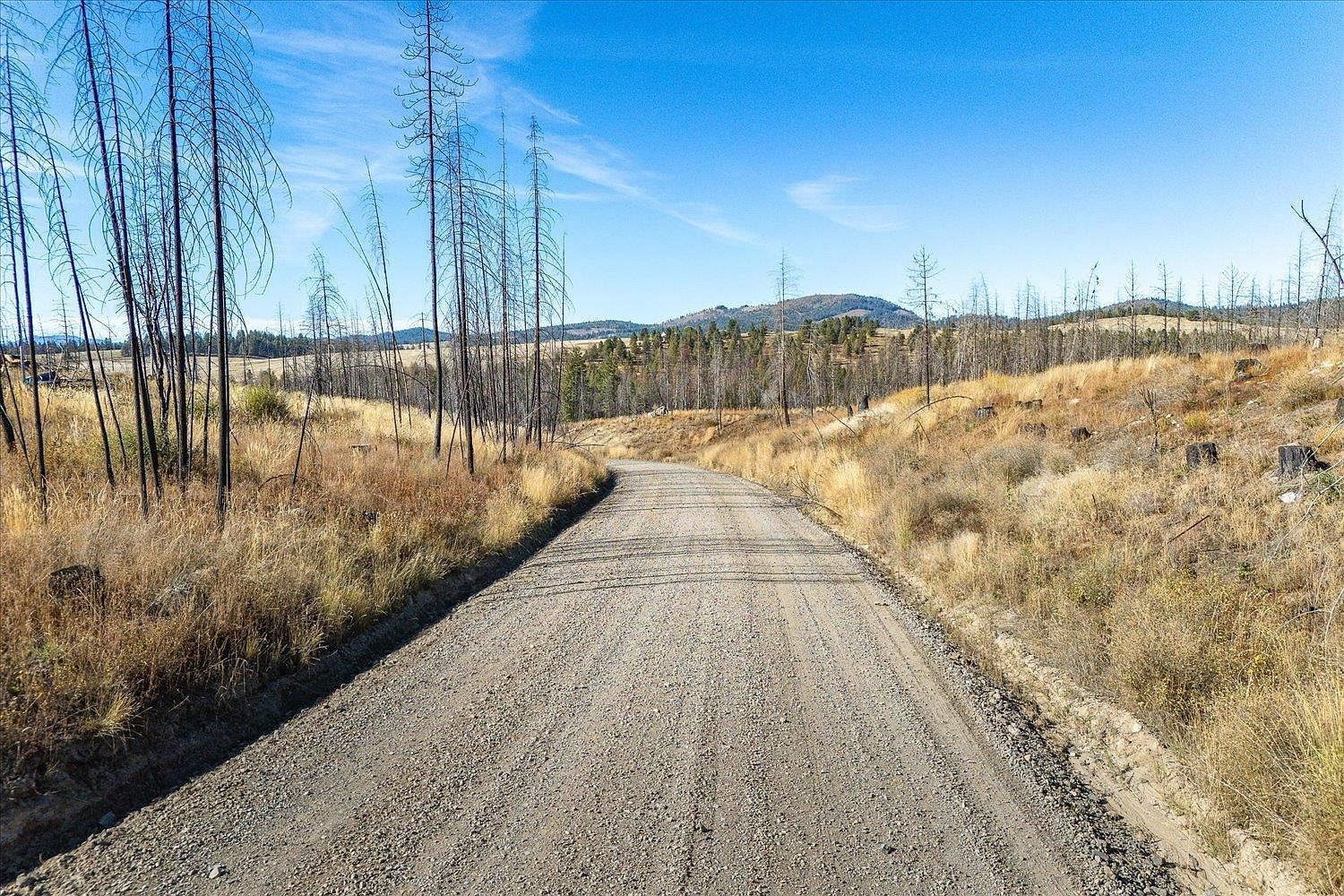 E Frideger Rd Elk, WA 99009  | Land/Lot