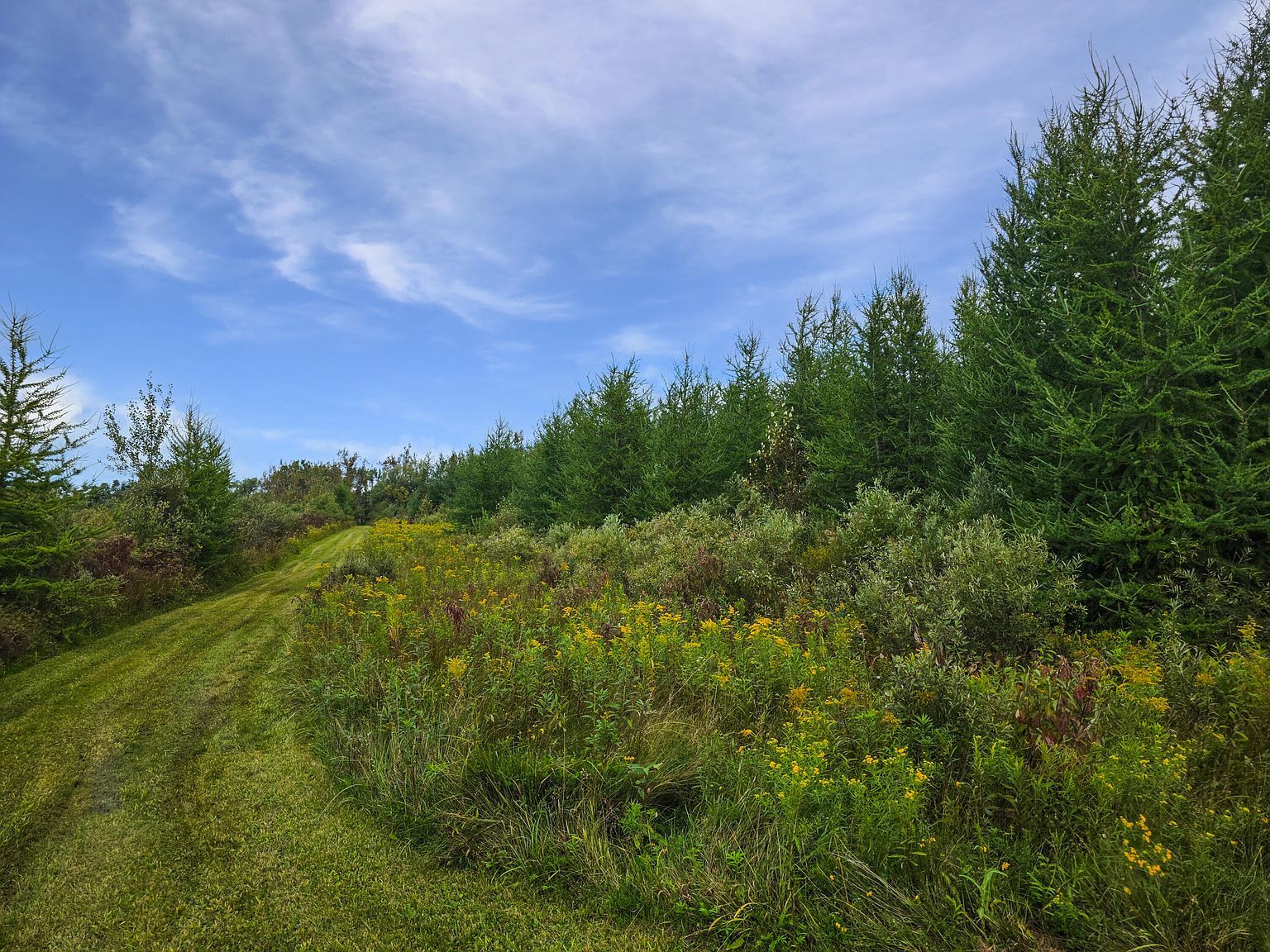V/l 16 Ac Page Rd Cheboygan, MI 49721 | Land/Lot