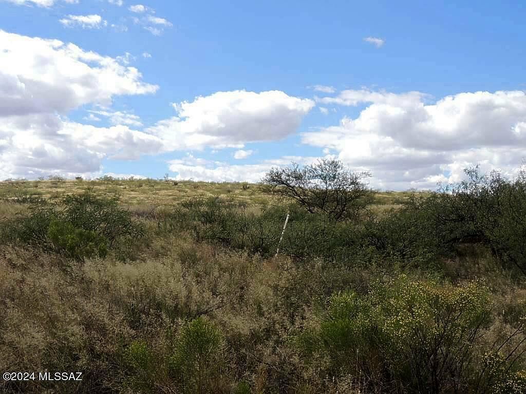 77 / Acre On Rambling Rd #3/100 Elfrida, AZ 85610  | Land/Lot