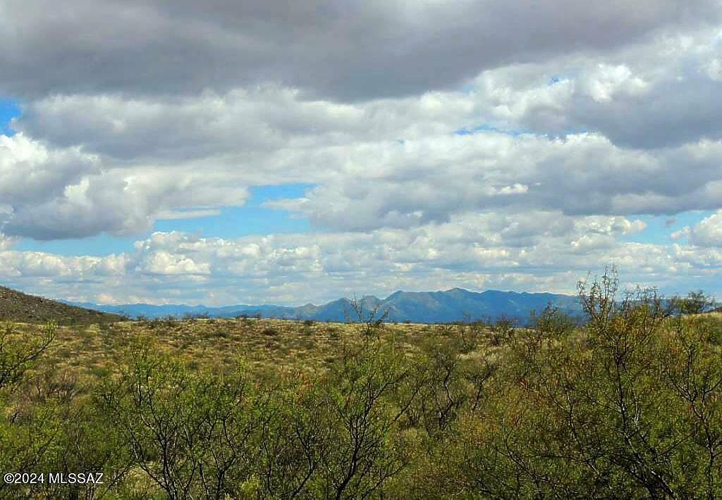 38 / Acre On Rambling Rd #3/1 Elfrida, AZ 85610  | Land/Lot