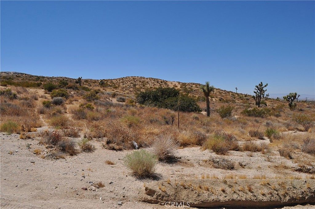 0 Vac 121 Ste Vic Ave W Pearblossom, CA 93553  | Land/Lot