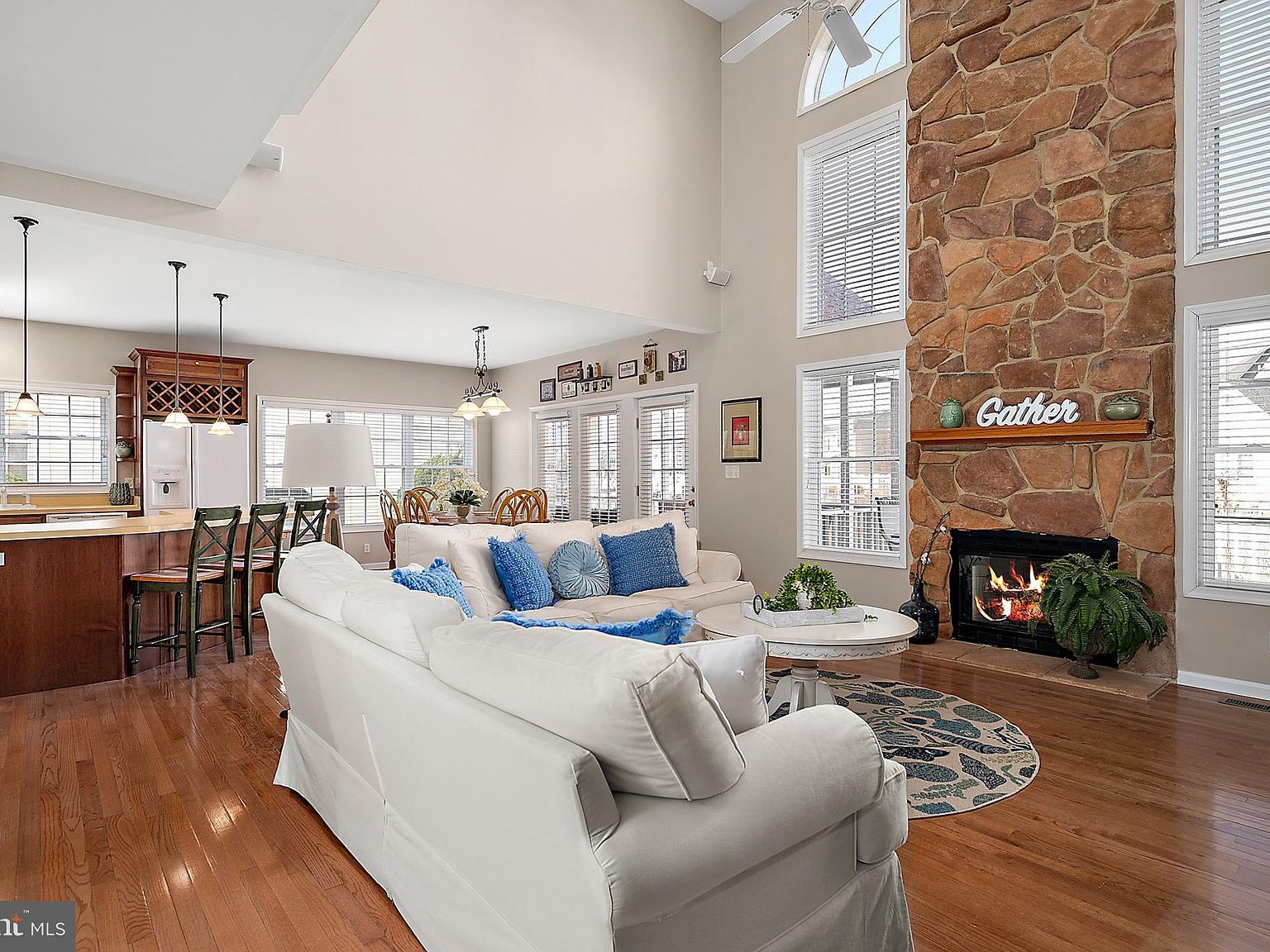 304 S Heron Gull Ct Ocean City, MD 21842  | Single Family