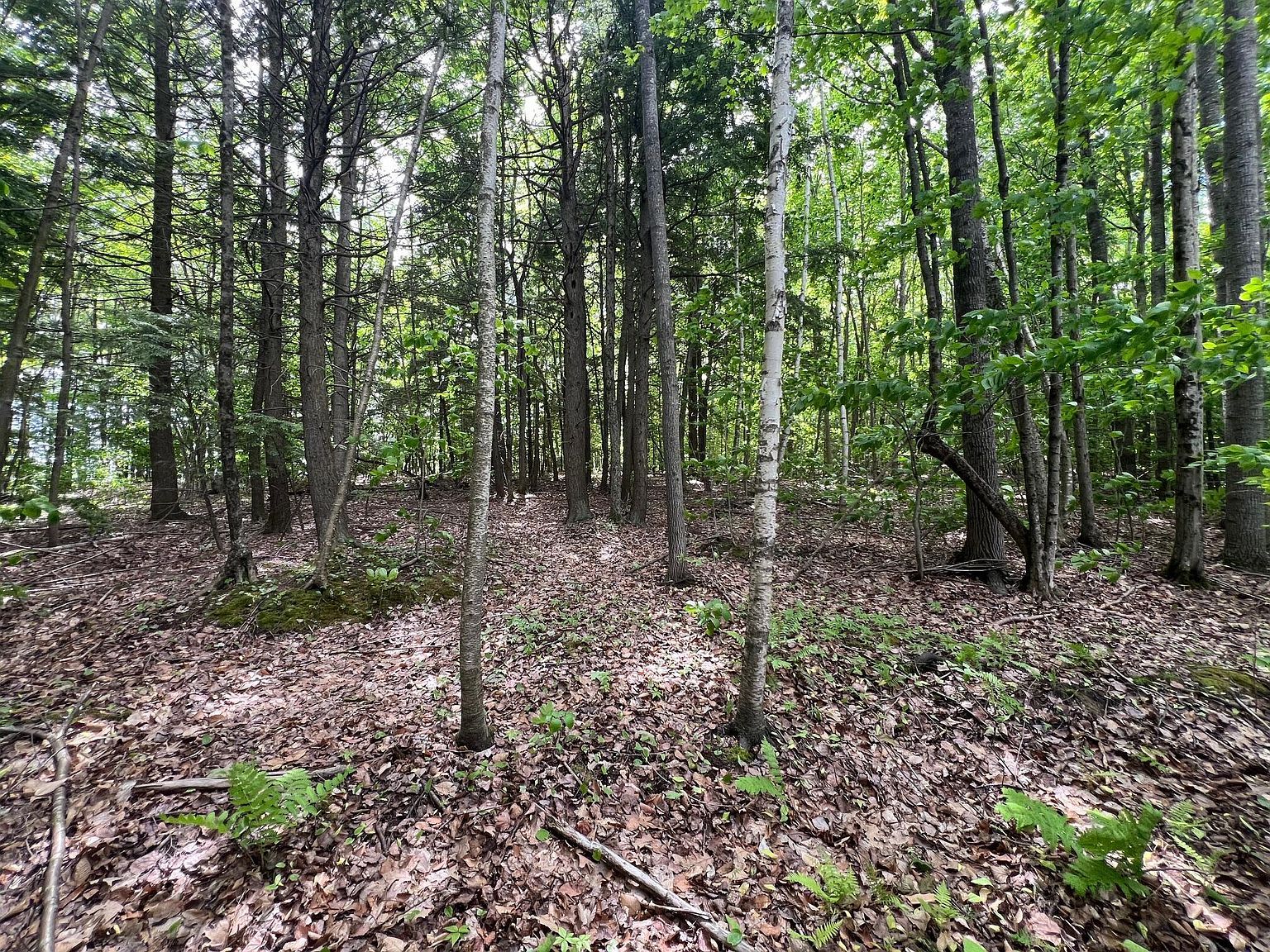 Map 1 Sheridan Dr LOT 10 Fairfield, ME 04937 | Land/Lot