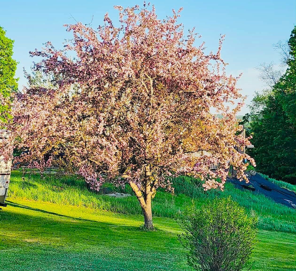 28 Messina Dr Skowhegan, ME 04976  | Single Family