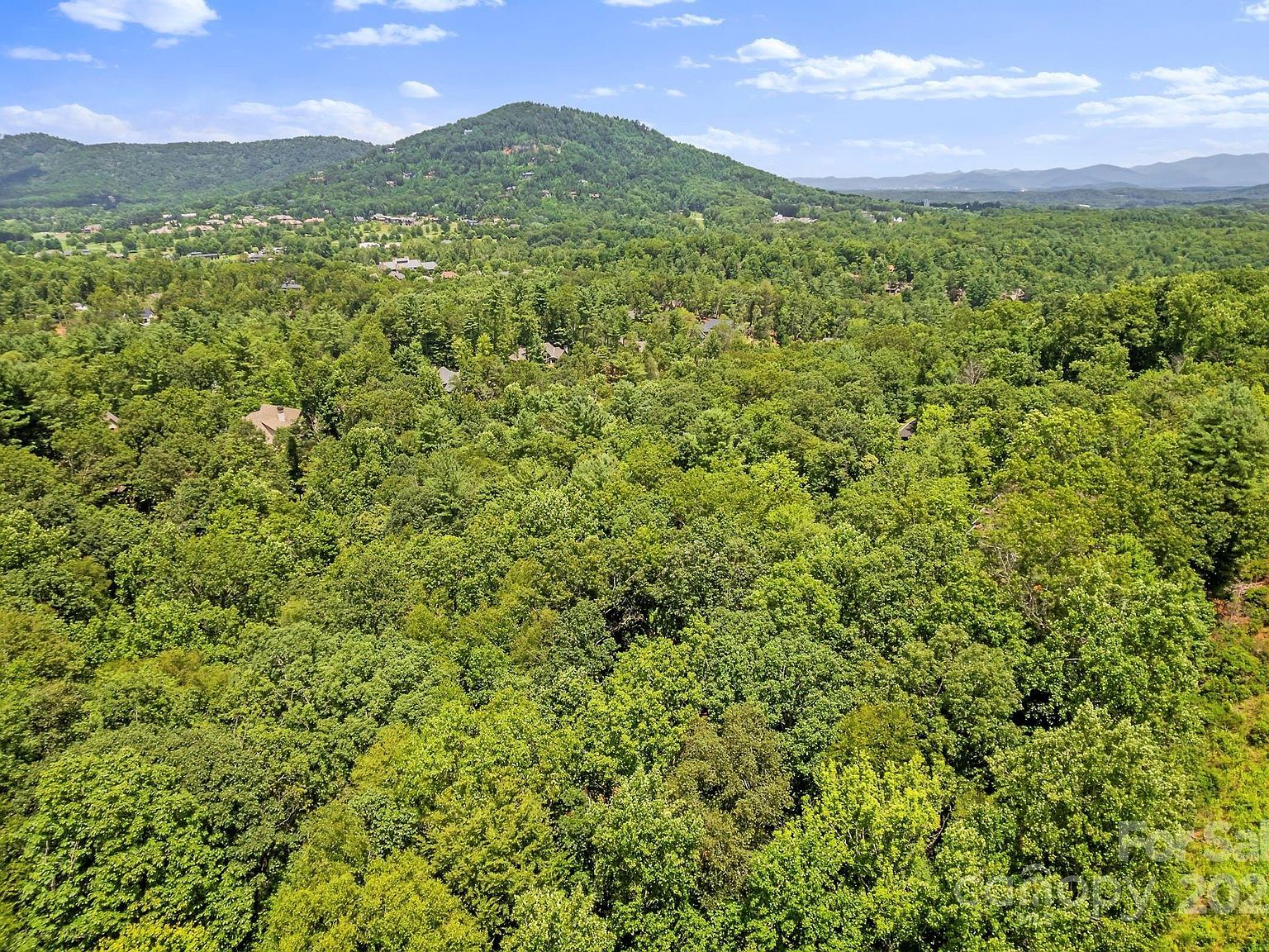 52 Dividing Ridge Trl Arden, NC 28704  | Land/Lot