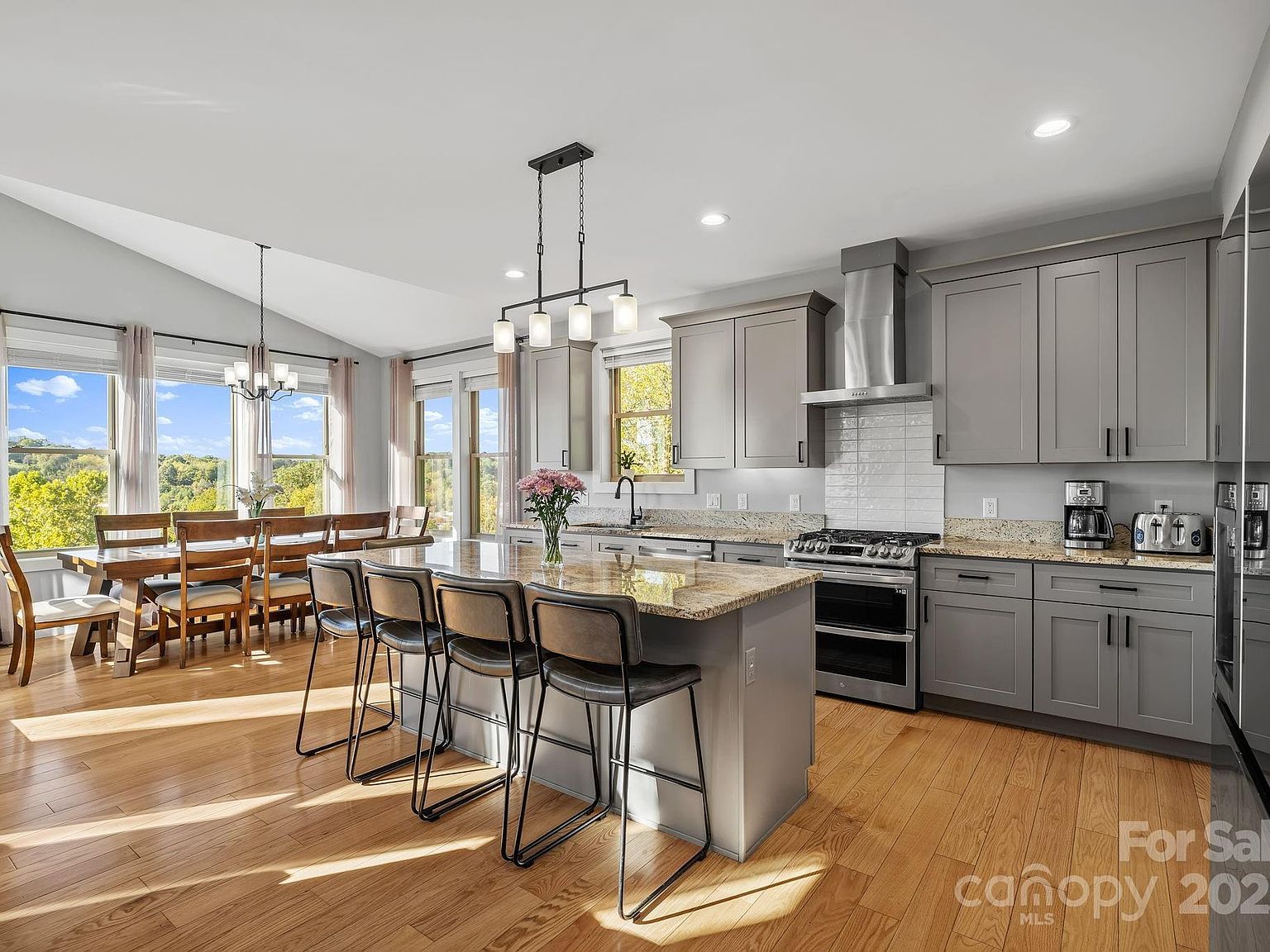 22 Governors View Rd Asheville, NC 28805 | Single Family