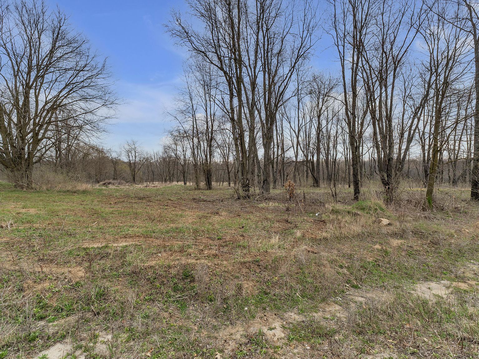 1055 Overlook Ct Saline, MI 48176 | Land/Lot