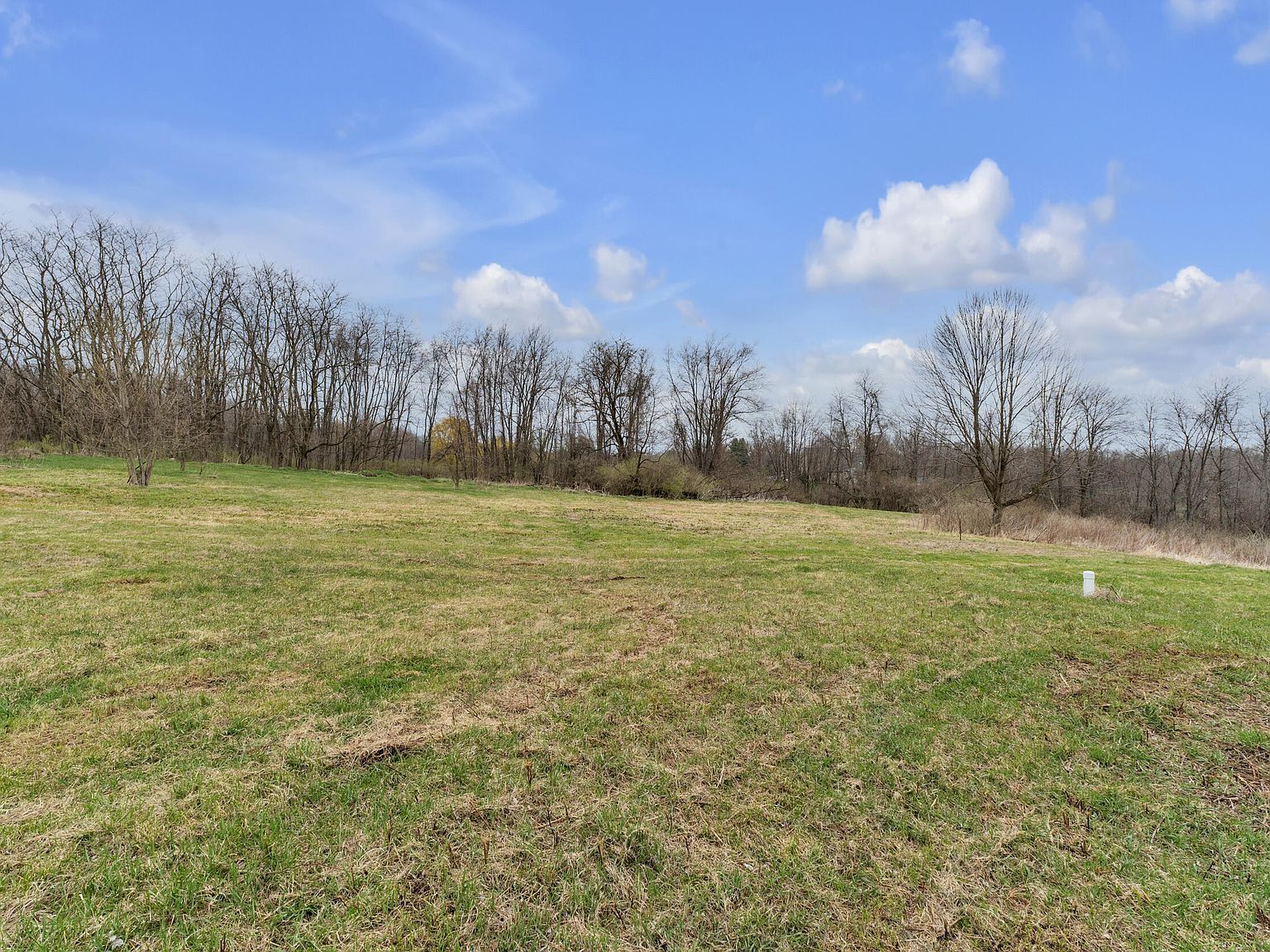 1053 Overlook Ct Saline, MI 48176 | Land/Lot