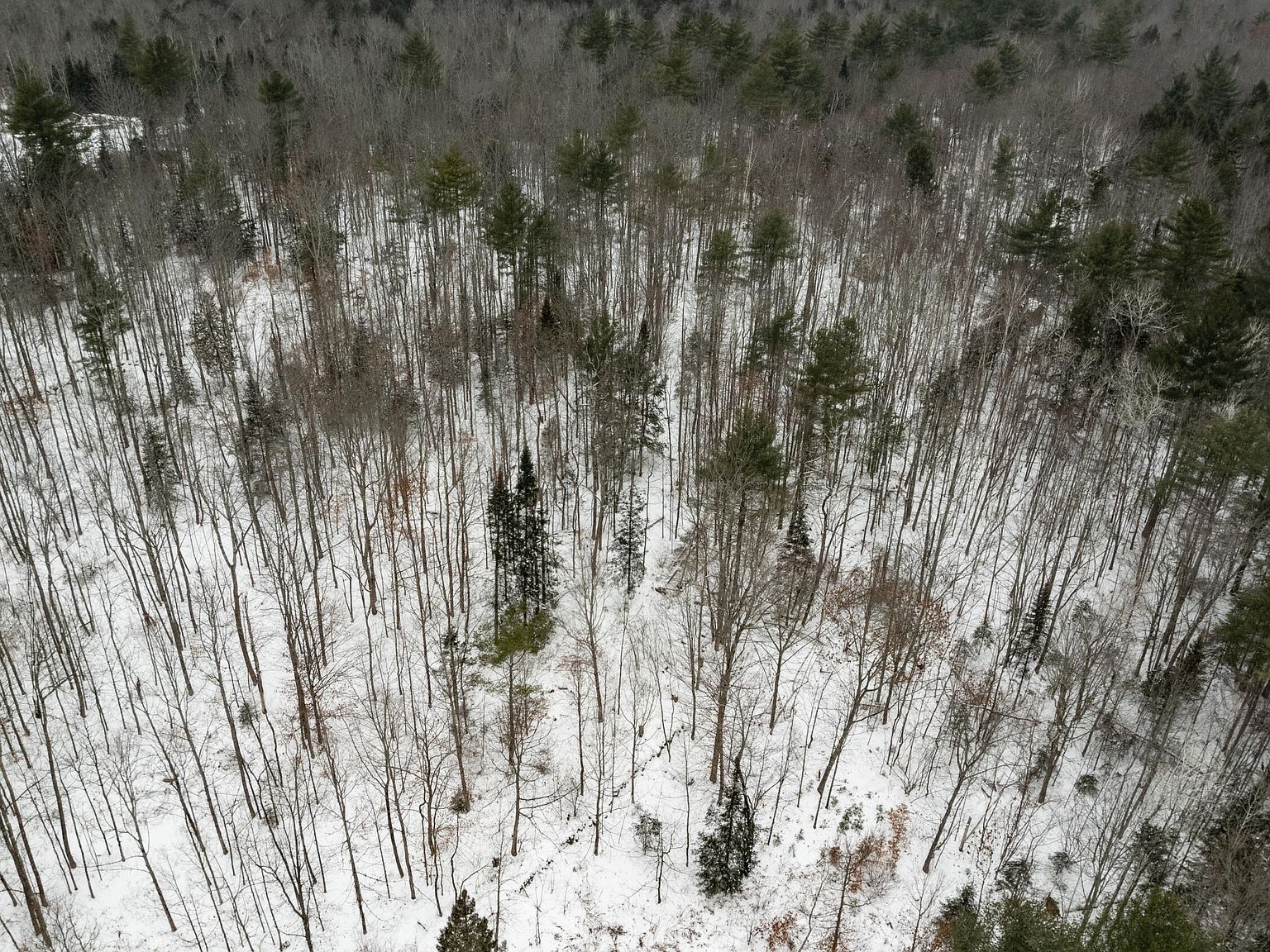 31 Gilman Rd Monmouth, ME 04259  | Land/Lot