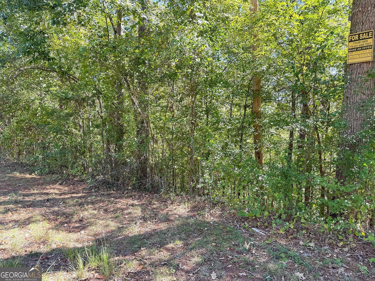 16 Approved Lots Ready To Blvd Covington, GA 30016  | Land/Lot