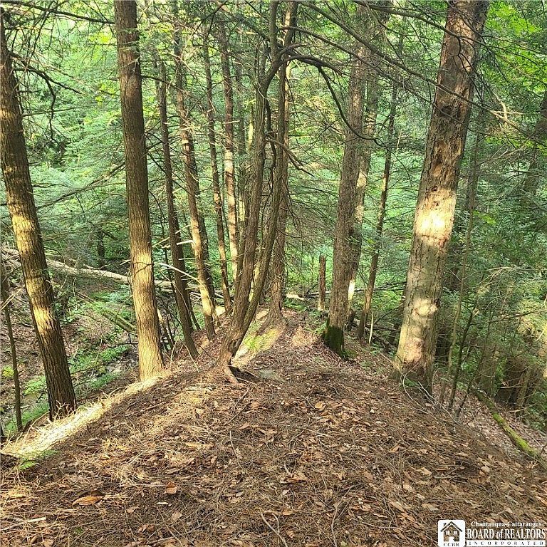 LOT 1B Bowen Rd Randolph, NY 14772 | Land/Lot
