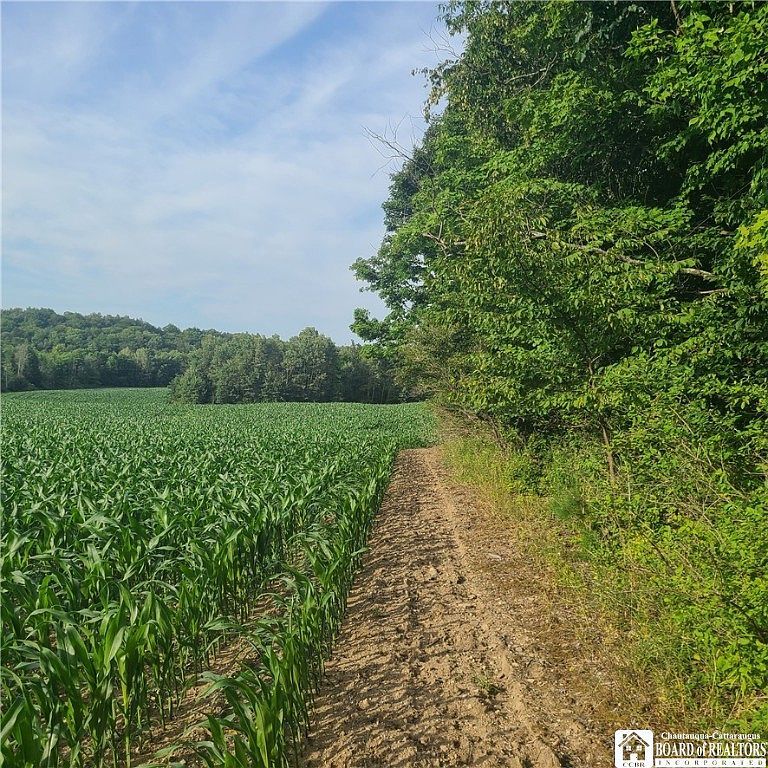 LOT 1A Bowen Rd Randolph, NY 14772  | Land/Lot