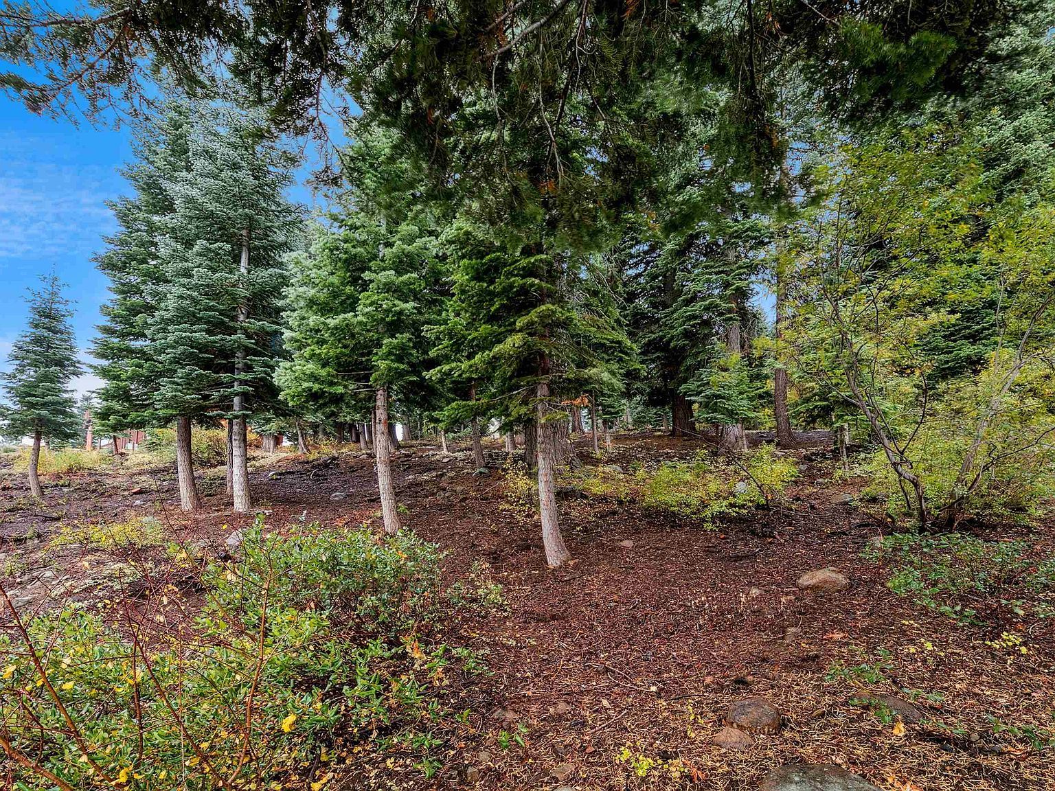 11926 Rhineland Ave Truckee, CA 96161  | Land/Lot