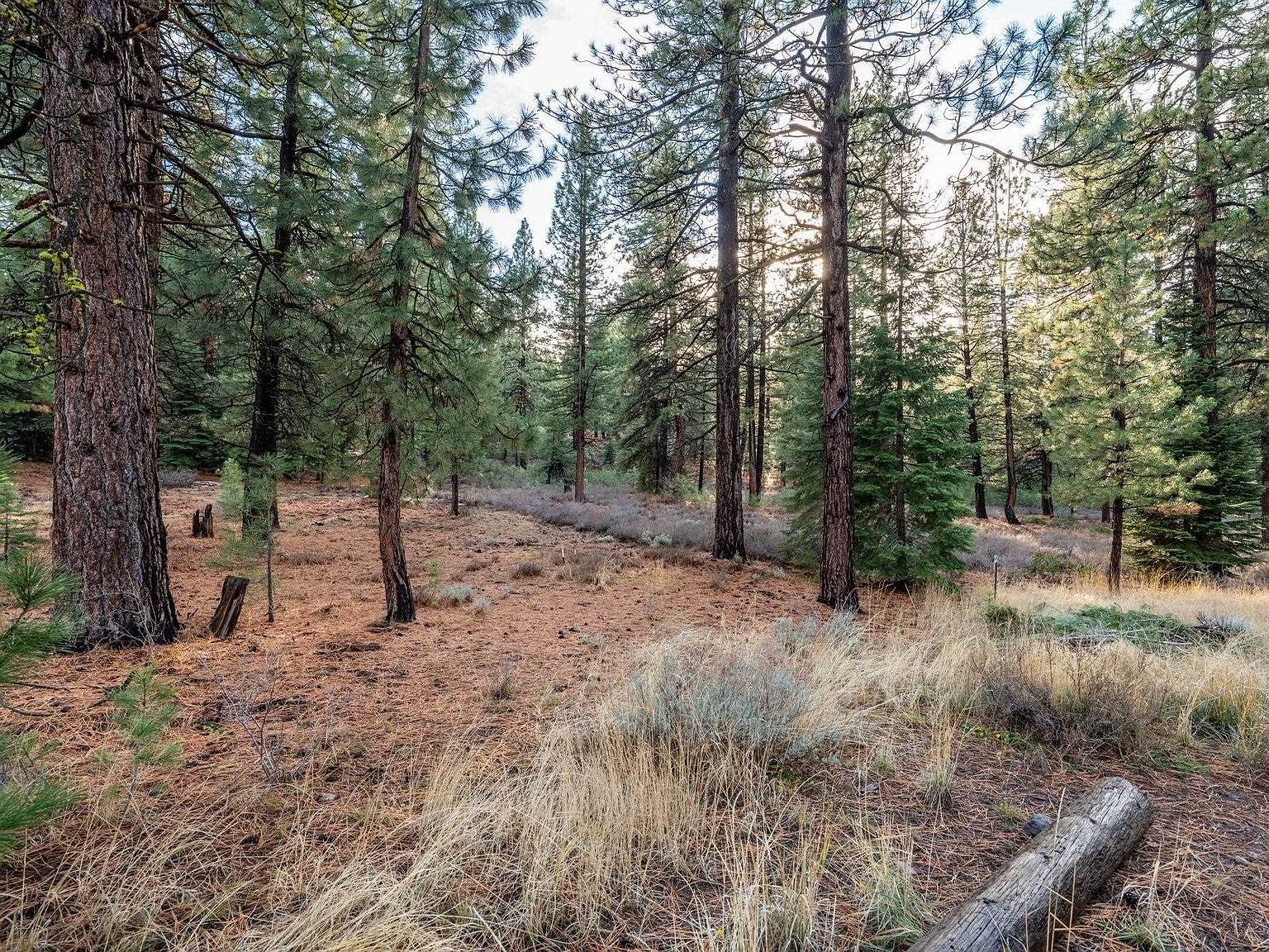 15411 Kent Dr Truckee, CA 96161 | Land/Lot