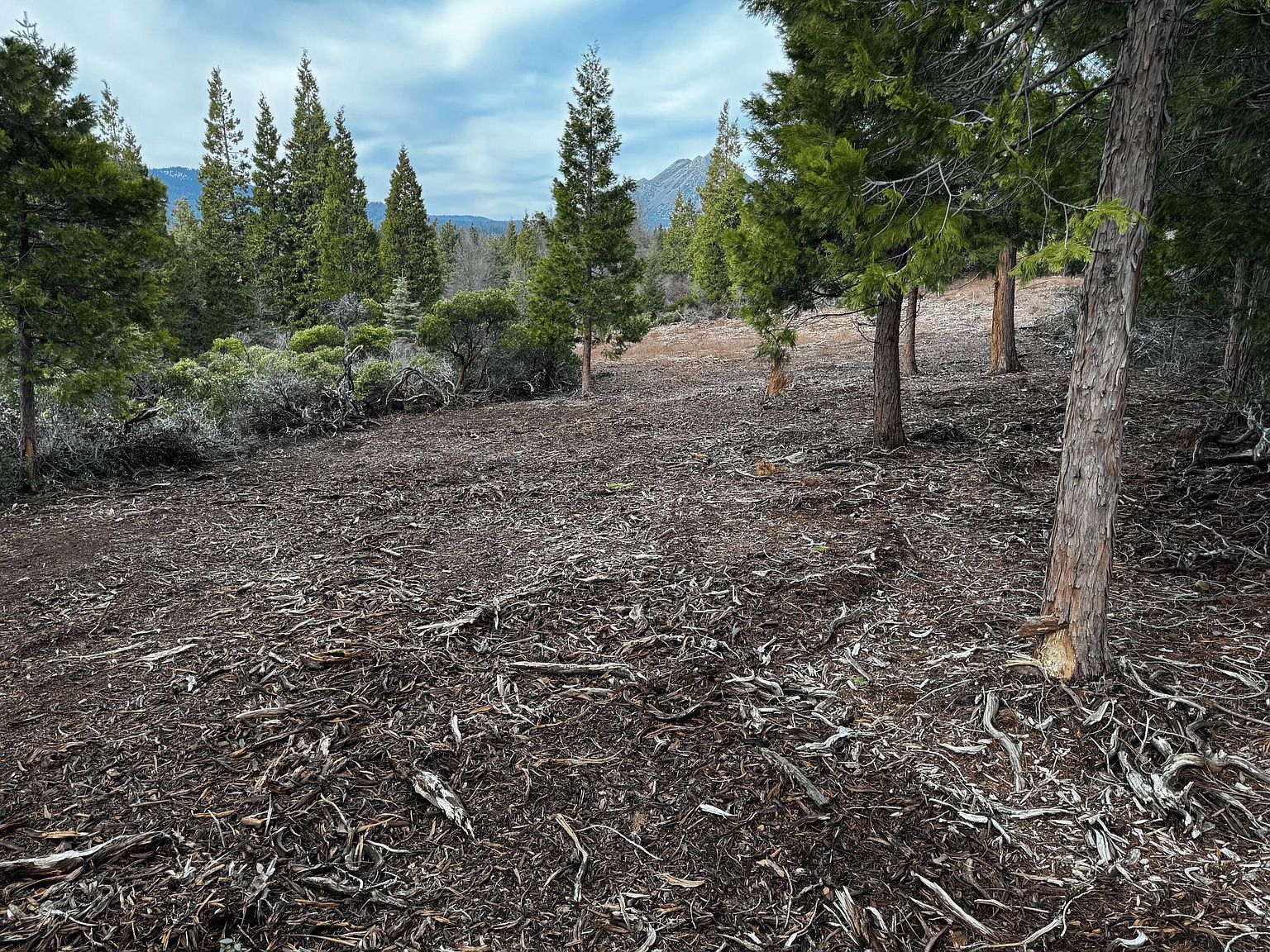 S Mount Shasta Blvd Mount Shasta, CA 96067  | Land/Lot