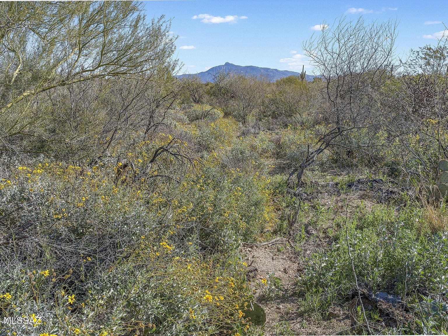 8293 S Tumbling Y Ranch Pl #142 Vail, AZ 85641  | Land/Lot