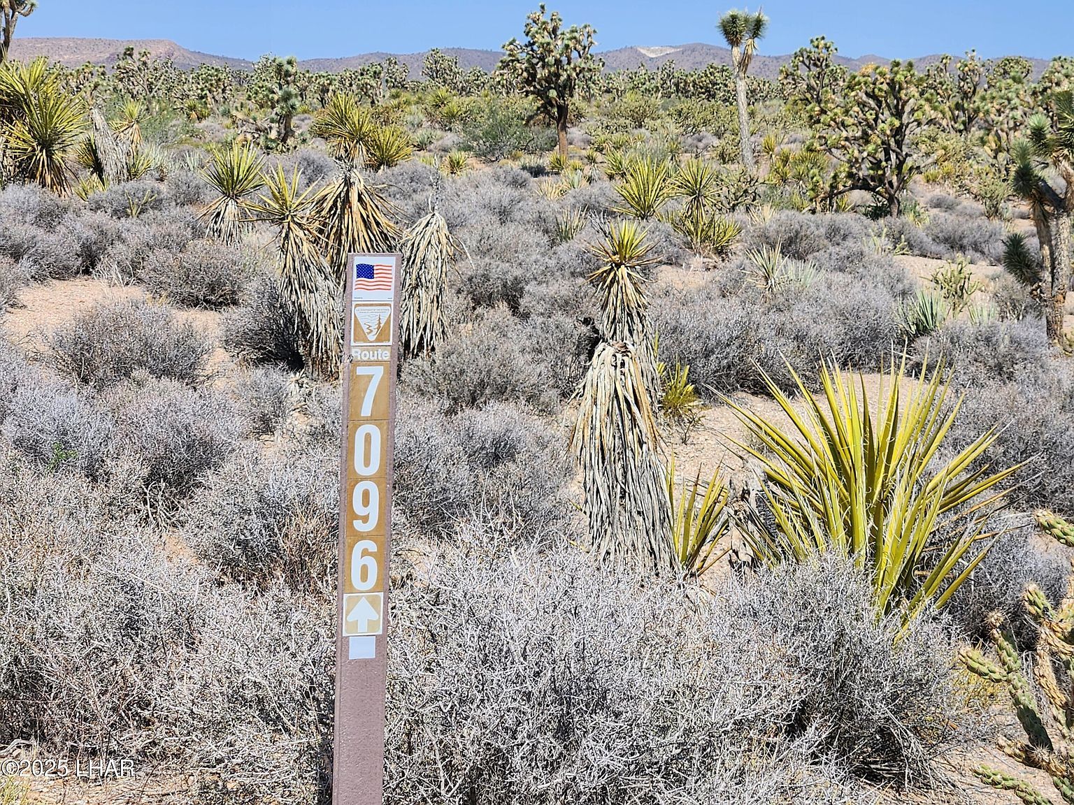 329-02-018 W White Hills Rd Willow Beach, AZ 86445  | Land/Lot