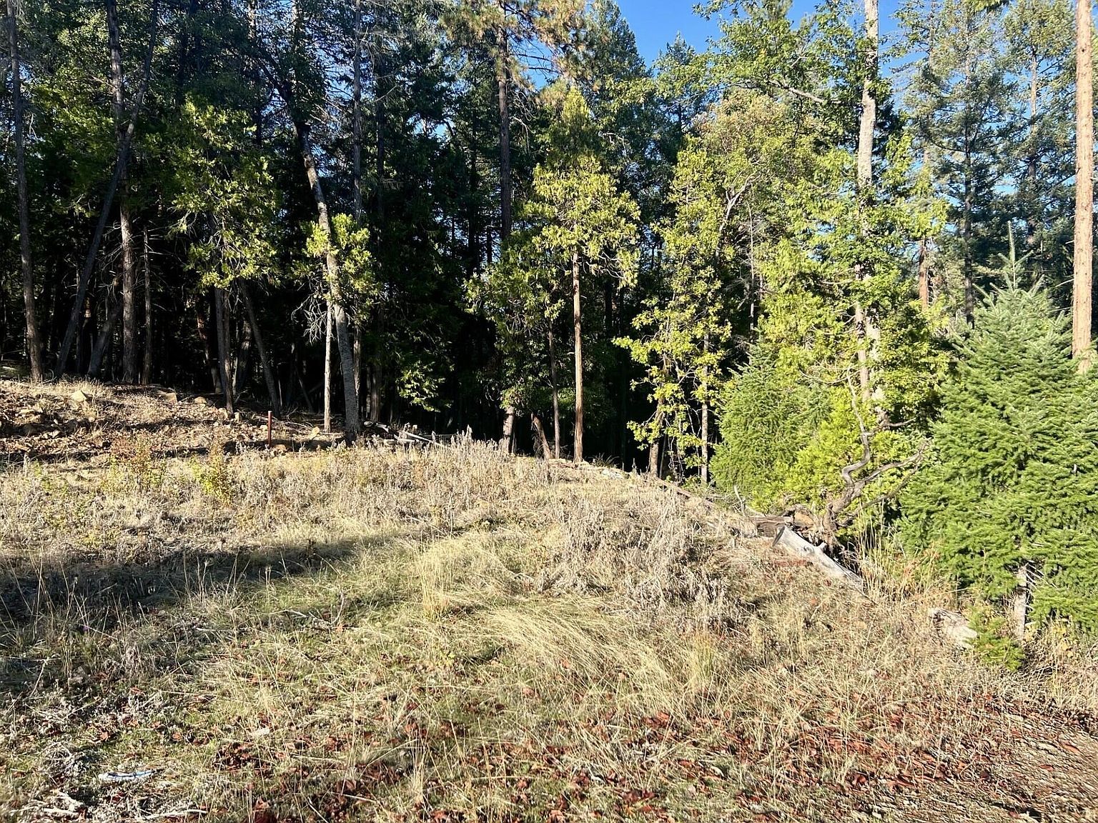 501 Elder Mill Rd Trail, OR 97541  | Land/Lot